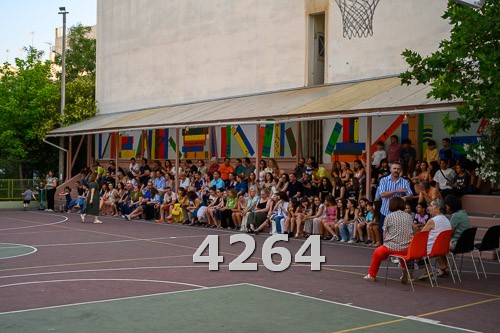 4264.jpg